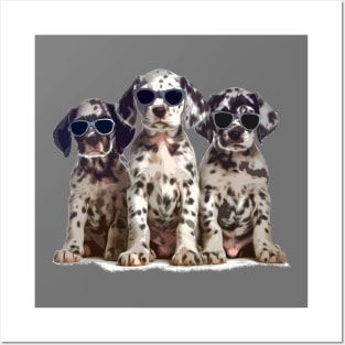 Dalmatian dogs with glasses Posters and Art